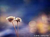淮安风之帆网络科技有限公司