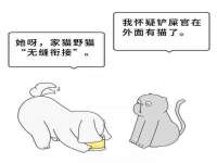 淮安风之帆网络科技有限公司