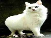淮安风之帆网络科技有限公司