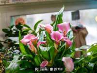 淮安风之帆网络科技有限公司