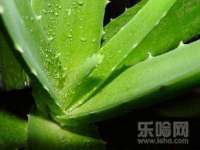 淮安风之帆网络科技有限公司