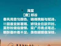 淮安风之帆网络科技有限公司