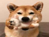 淮安风之帆网络科技有限公司