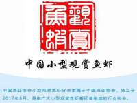 淮安风之帆网络科技有限公司