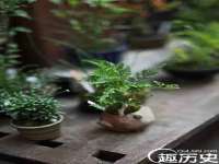 淮安风之帆网络科技有限公司