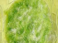 淮安风之帆网络科技有限公司