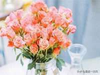 淮安风之帆网络科技有限公司