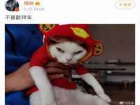 淮安风之帆网络科技有限公司